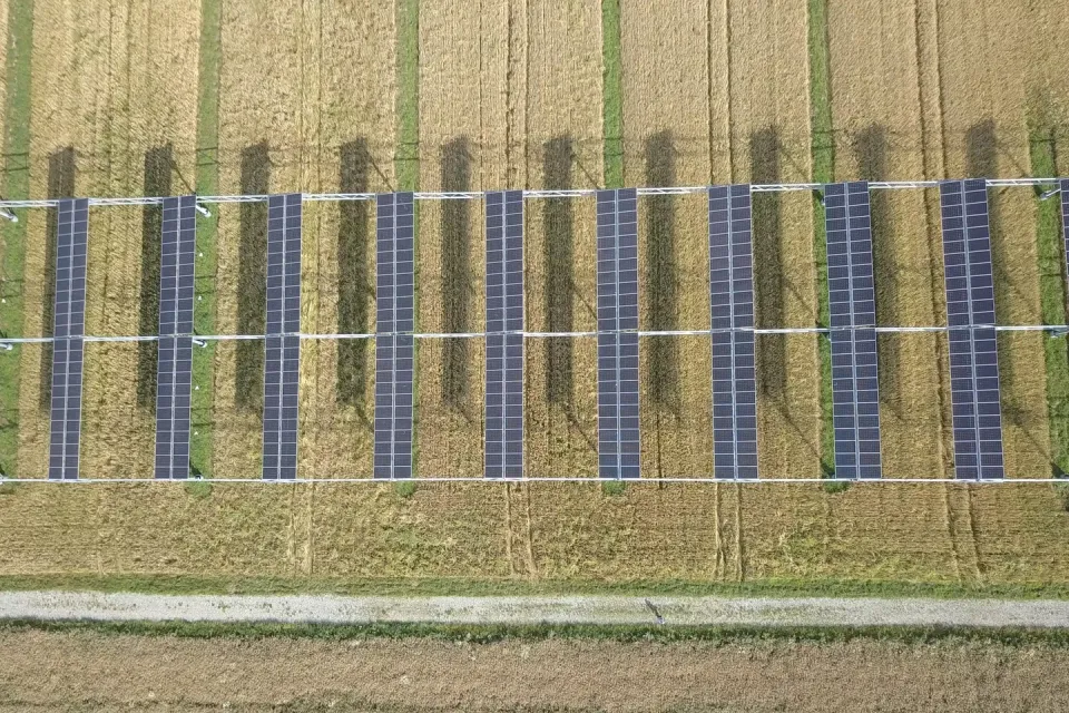 Aerial view of evenly spaced solar canopies above cultivated crop rows at an agrivoltaic farm